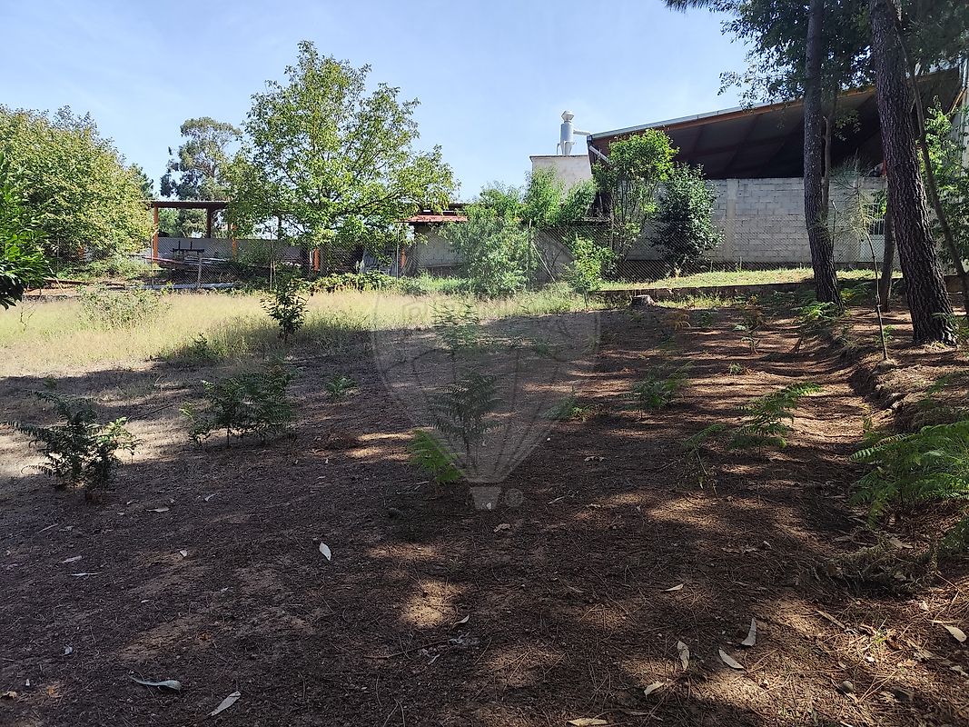 Terreno  para venda