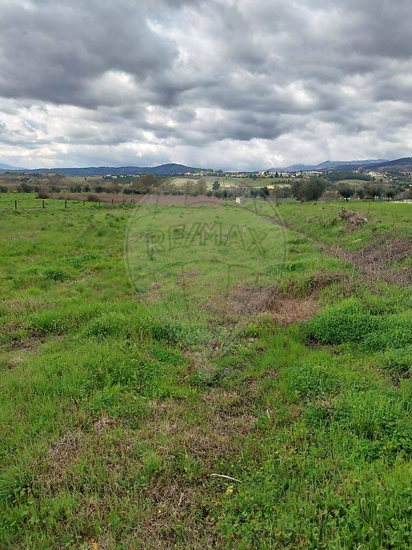 Terreno - Alcaria, Fundão, Castelo Branco