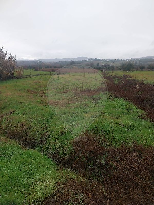 Terreno - Alcaria, Fundão, Castelo Branco
