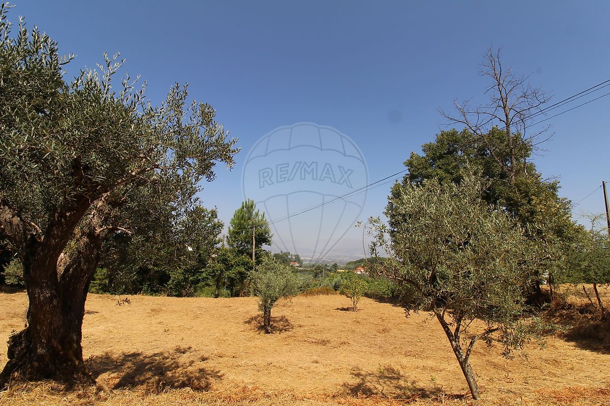Terreno - Alcaide, Fundão, Castelo Branco