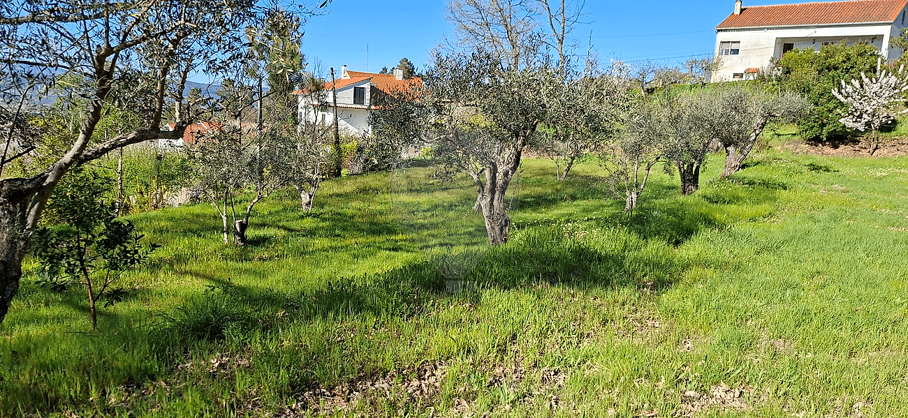 Terreno - Alcaide, Fundão, Castelo Branco