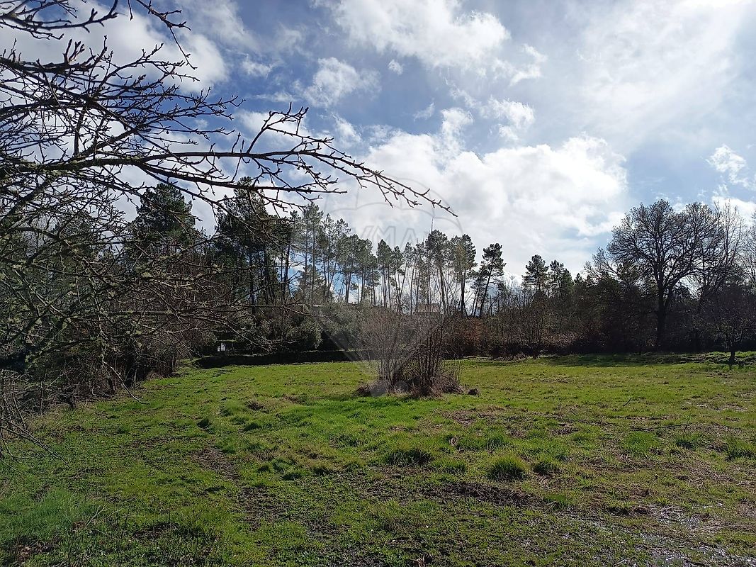 Terreno - Inguias, Belmonte, Castelo Branco