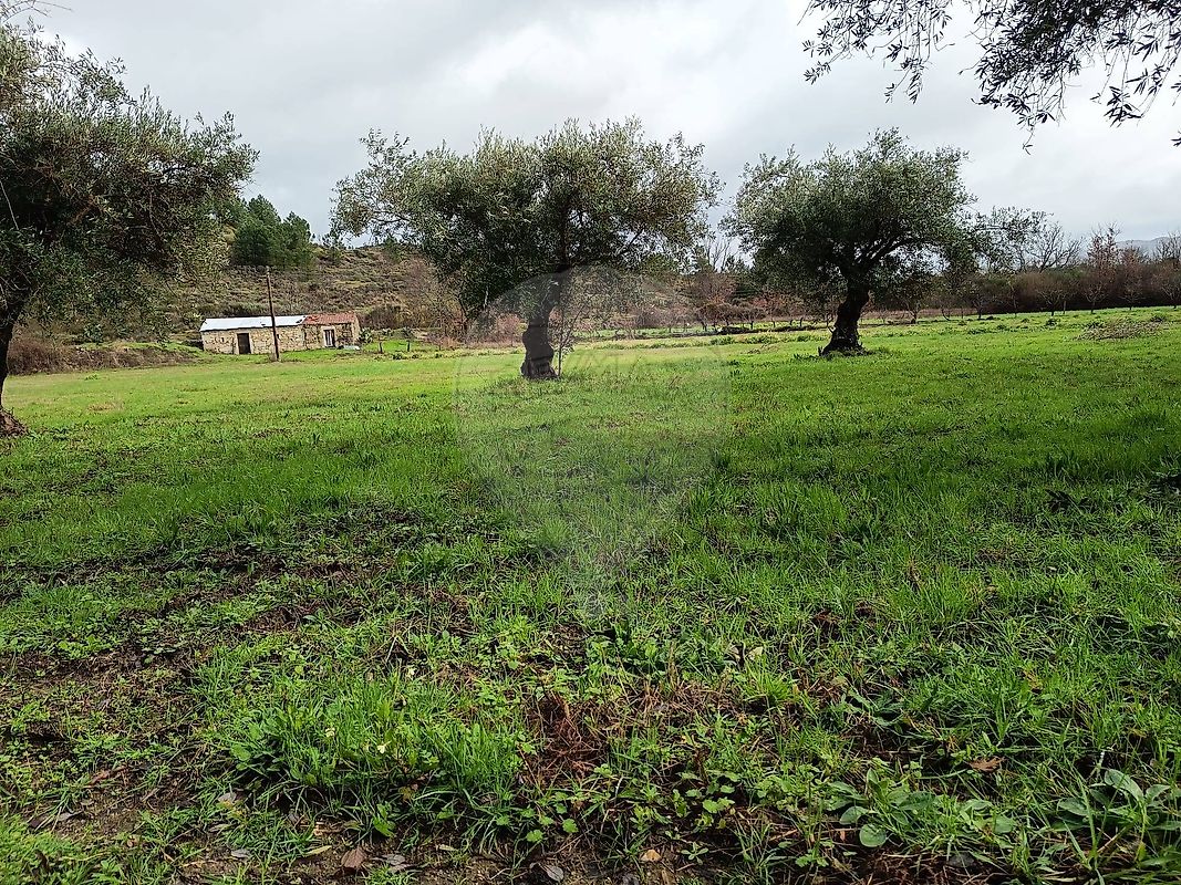 Terreno - Inguias, Belmonte, Castelo Branco