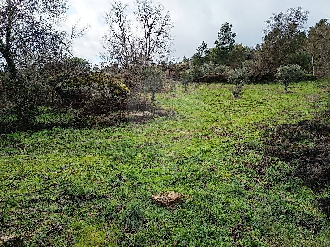 Terreno - Inguias, Belmonte, Castelo Branco