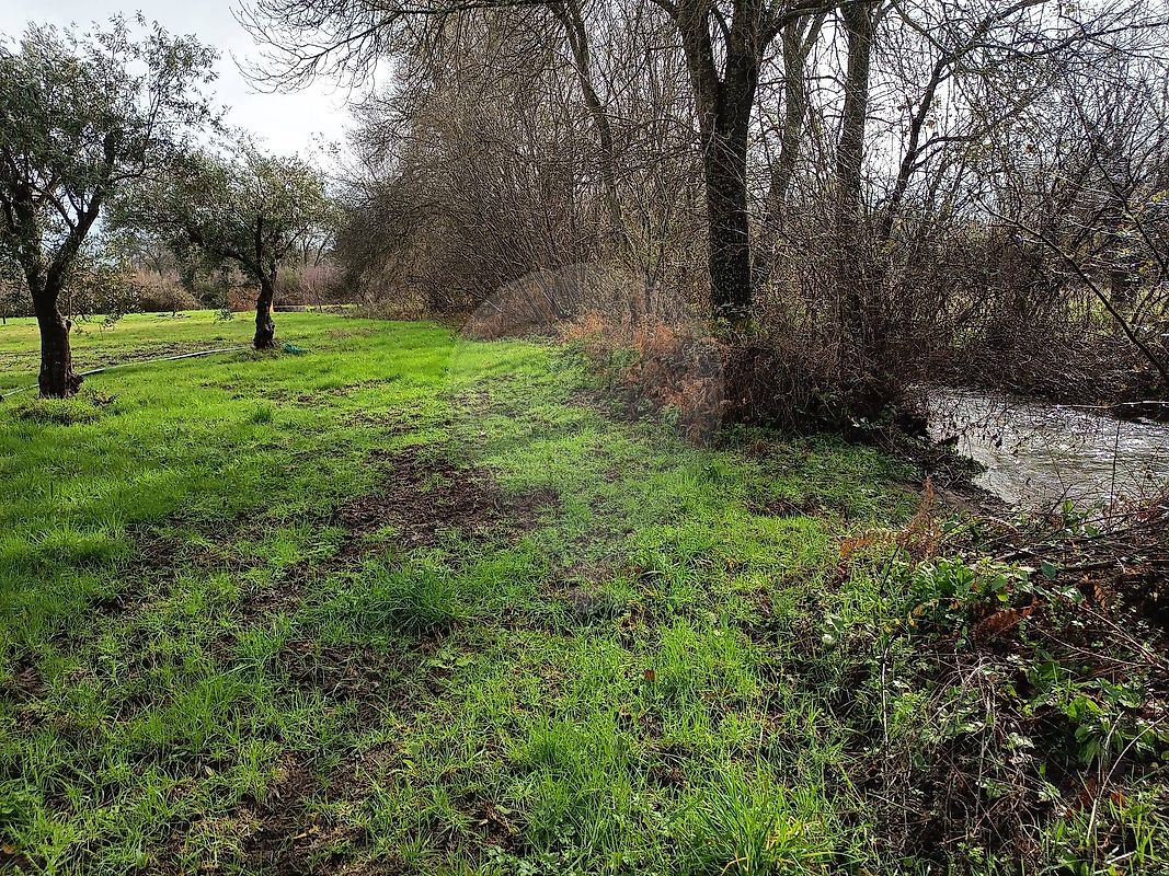 Terreno - Inguias, Belmonte, Castelo Branco