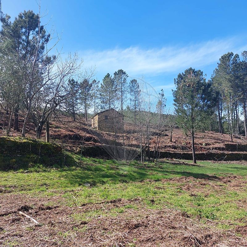 Terreno - Verdelhos, Covilhã, Castelo Branco