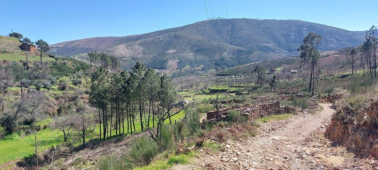Terreno - Verdelhos, Covilhã, Castelo Branco