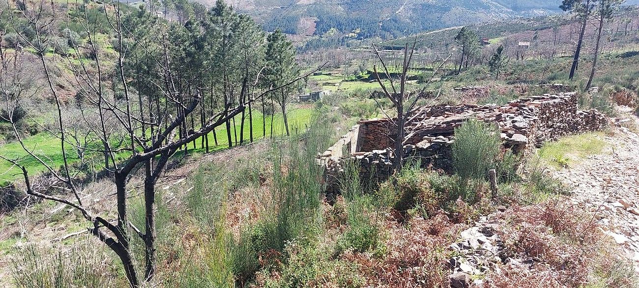 Terreno - Verdelhos, Covilhã, Castelo Branco