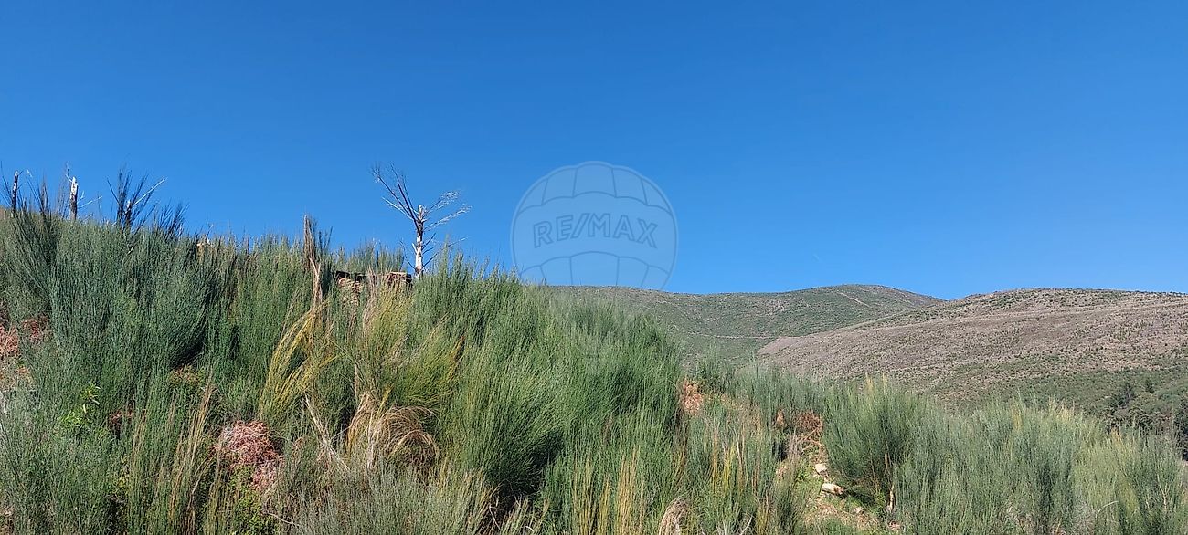 Terreno - Verdelhos, Covilhã, Castelo Branco
