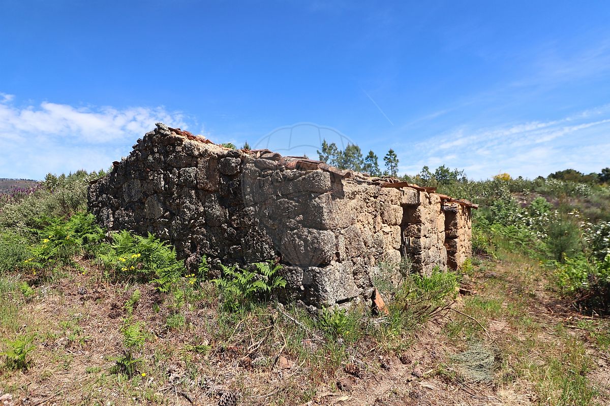 Terreno - Vale de Prazeres e Mata da Rainha, Fundão, Castelo Branco