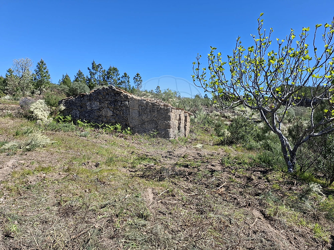 Terreno à venda em Fundão