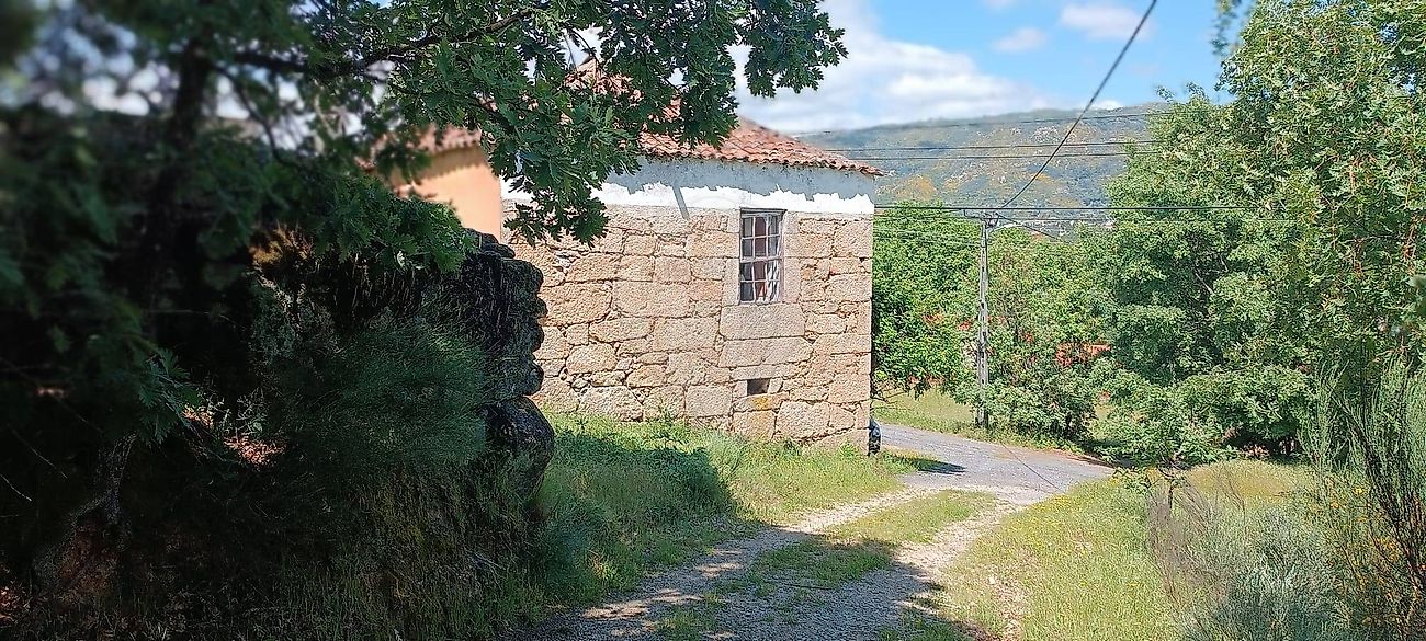 Quinta - Belmonte e Colmeal da Torre, Belmonte, Castelo Branco