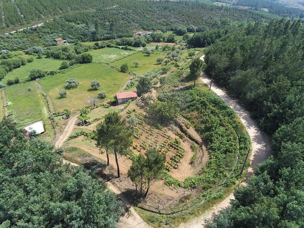 Quinta - Cortes do Meio, Covilhã, Castelo Branco