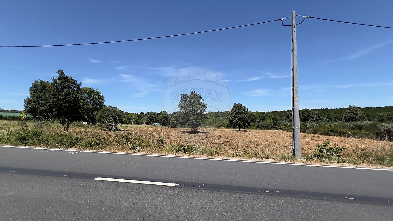 Terreno - Sabugal e Aldeia de Santo António, Sabugal, Guarda