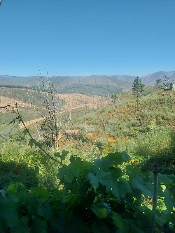 Moradia T5 à venda em Teixoso e Sarzedo, Covilhã — foto 19