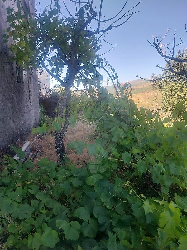 Moradia T5 à venda em Teixoso e Sarzedo, Covilhã — foto 17