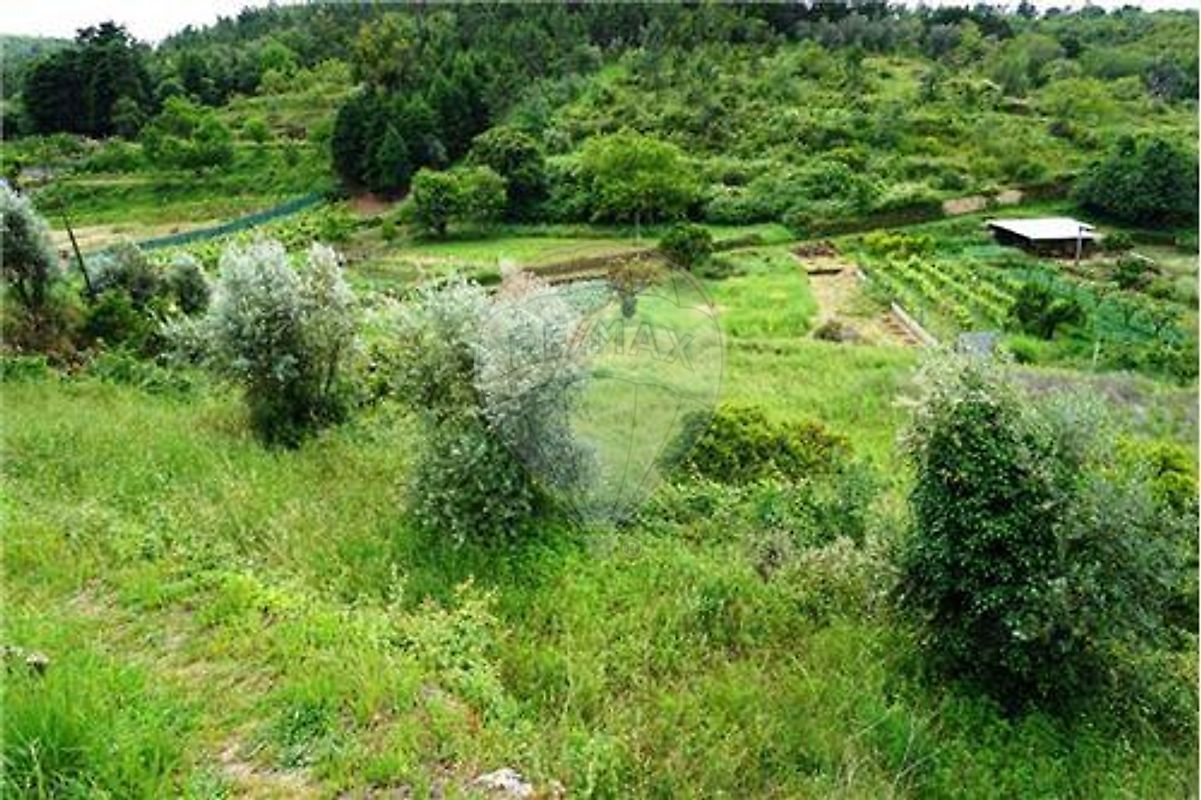 Terreno  à venda em Coimbra