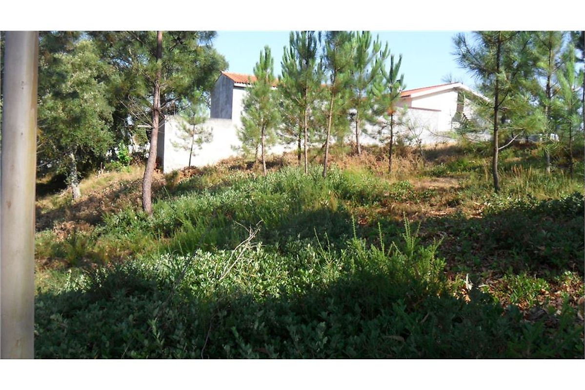 Terreno à venda em Lousã