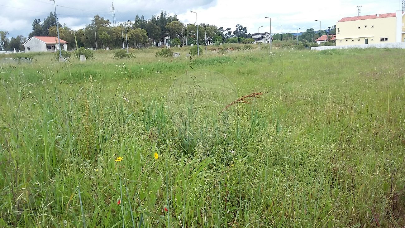Terreno  à venda em Anadia