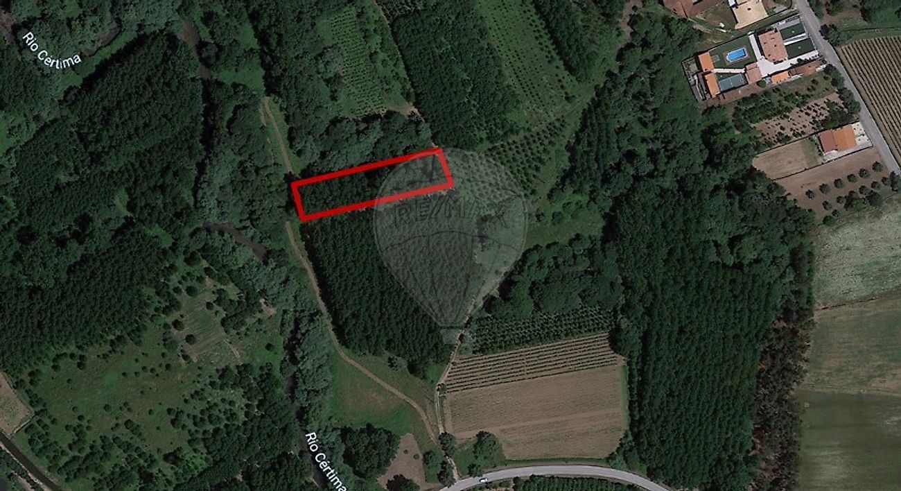 Terreno  à venda em Anadia
