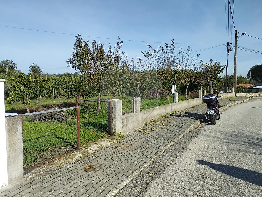 Terreno em Santa Comba Dão