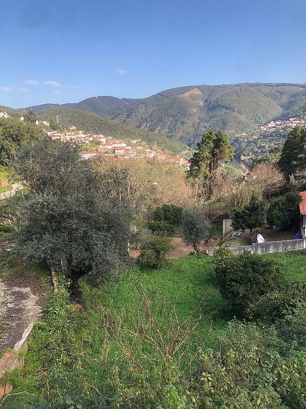 Terreno  à venda em Coimbra