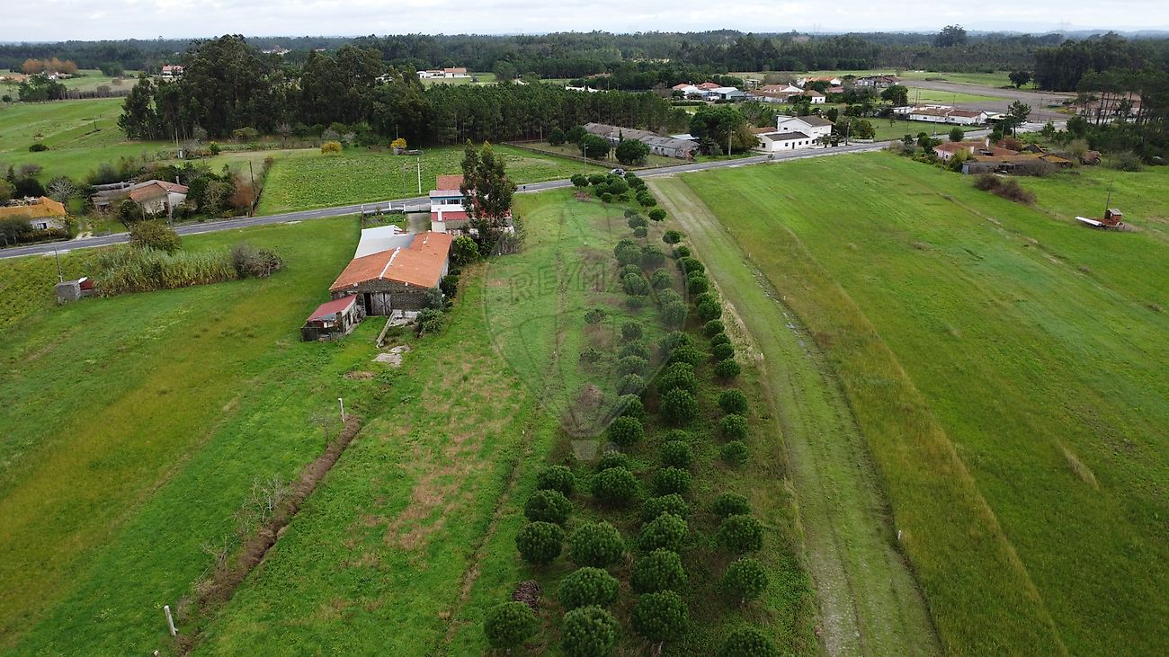 Terreno à venda em Pelichos