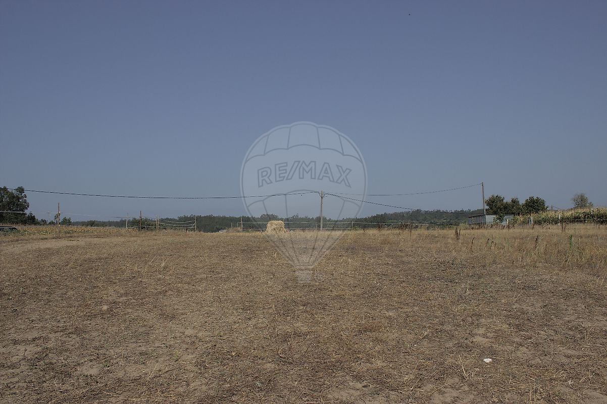 Terreno  para venda