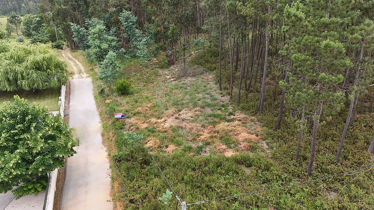 Terreno  à venda em Vila Nova de Poiares