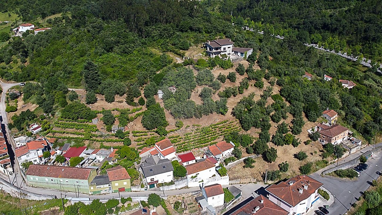 Terreno  à venda em Coselhas