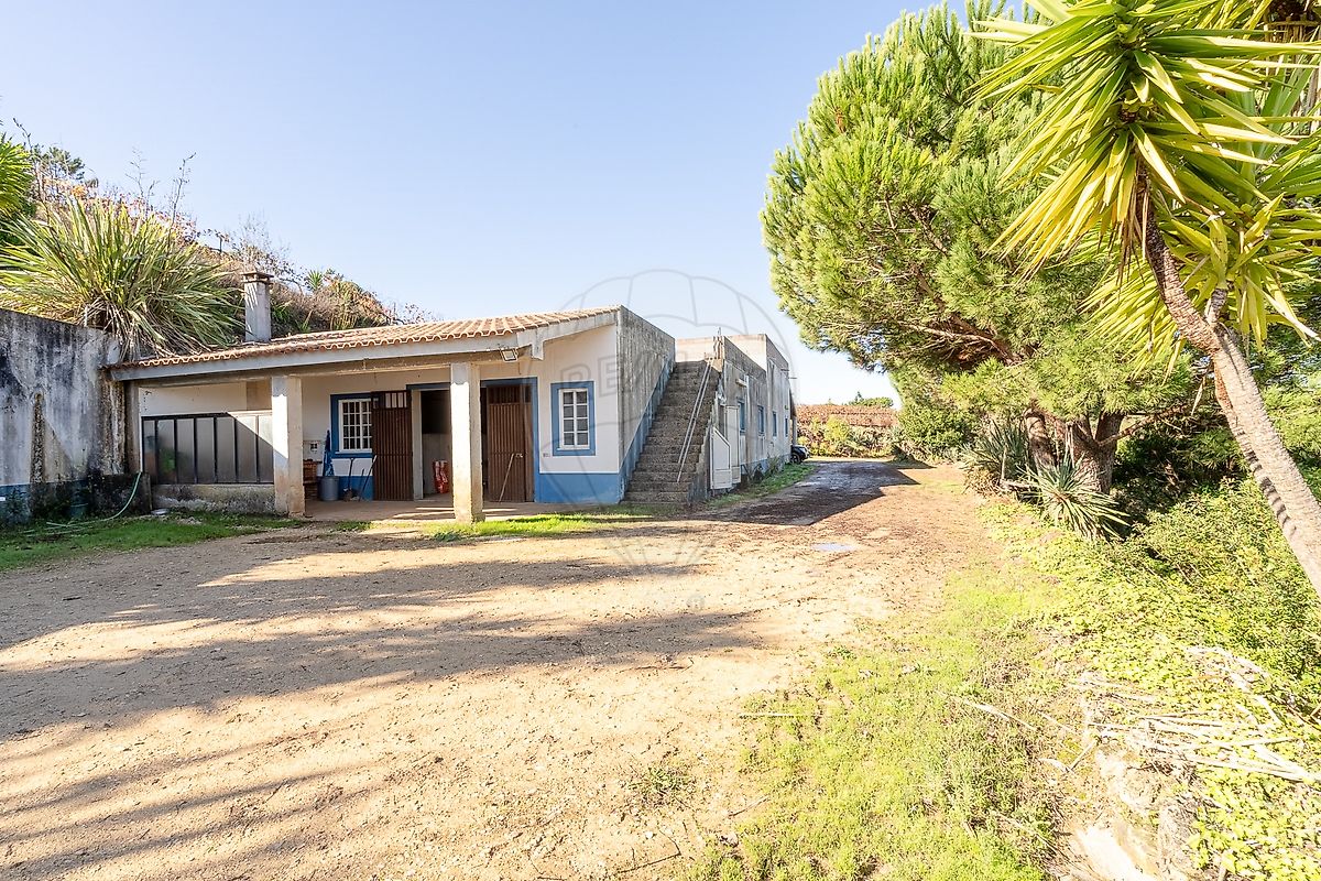 listing-picture-0
