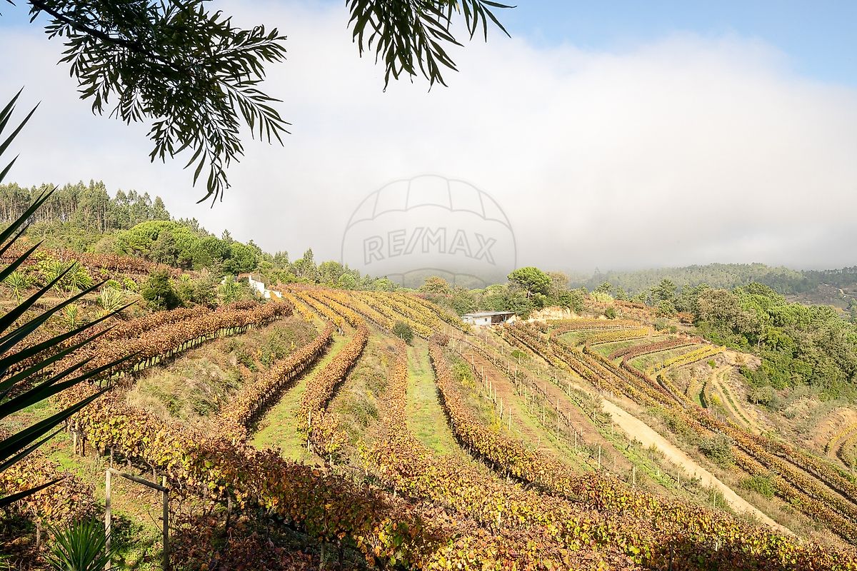 Terreno para venda