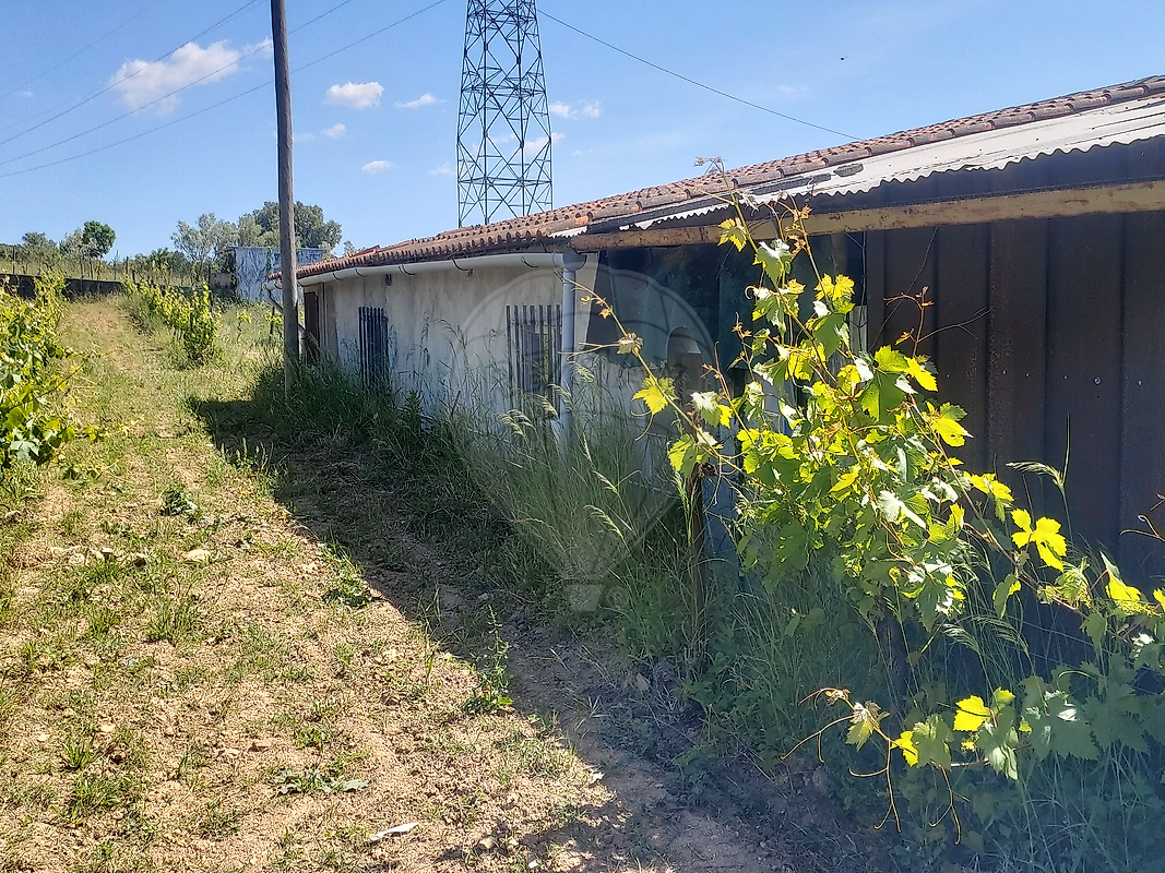Terreno  à venda em Coimbra