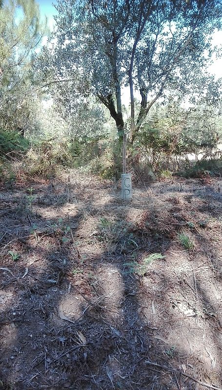 Terreno para venda