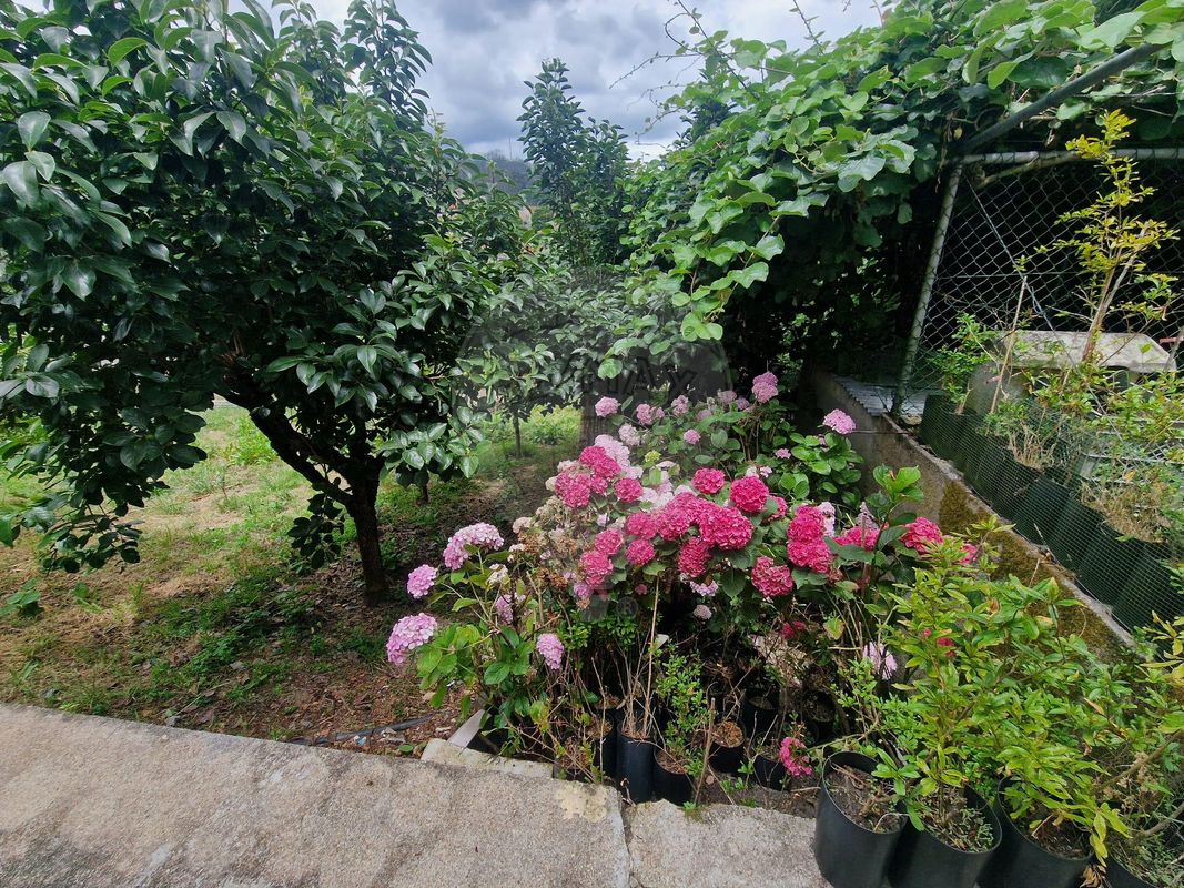 listing 123971097-97 picture-0