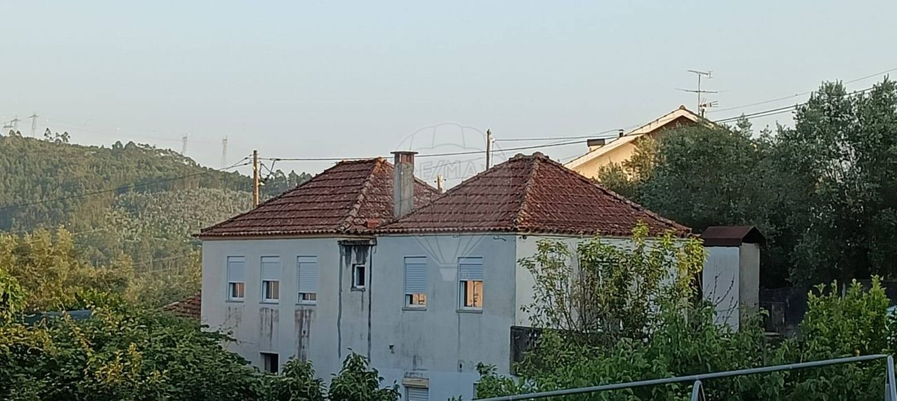 123971097-97