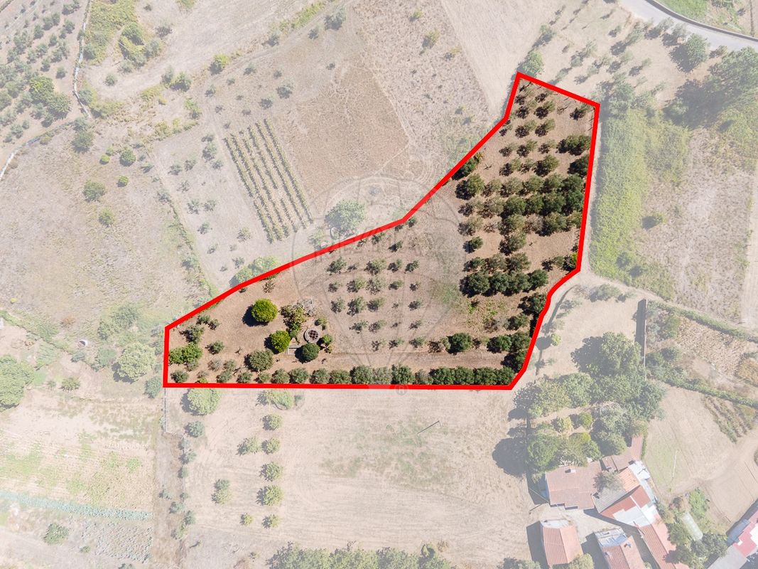 Terreno  para venda