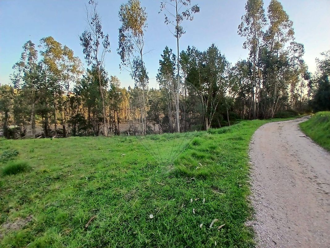 Terreno à venda em Condeixa-a-Nova