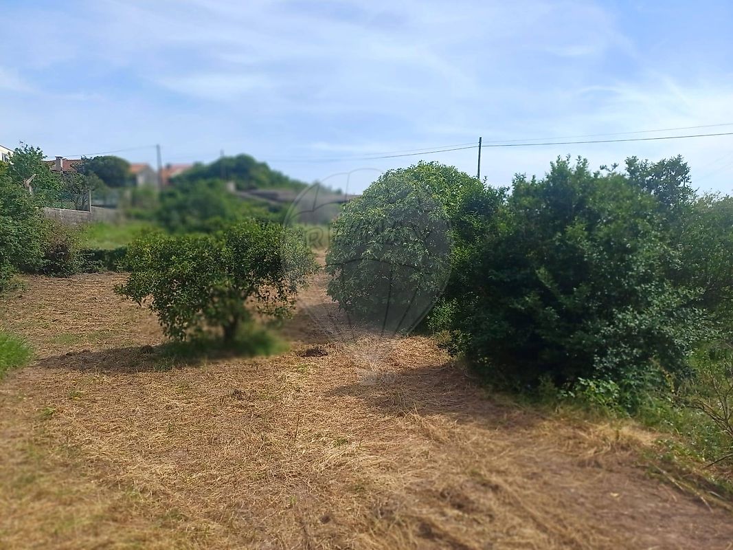Moradia T2 à venda em São Martinho de Árvore e Lamarosa, Coimbra — foto 15
