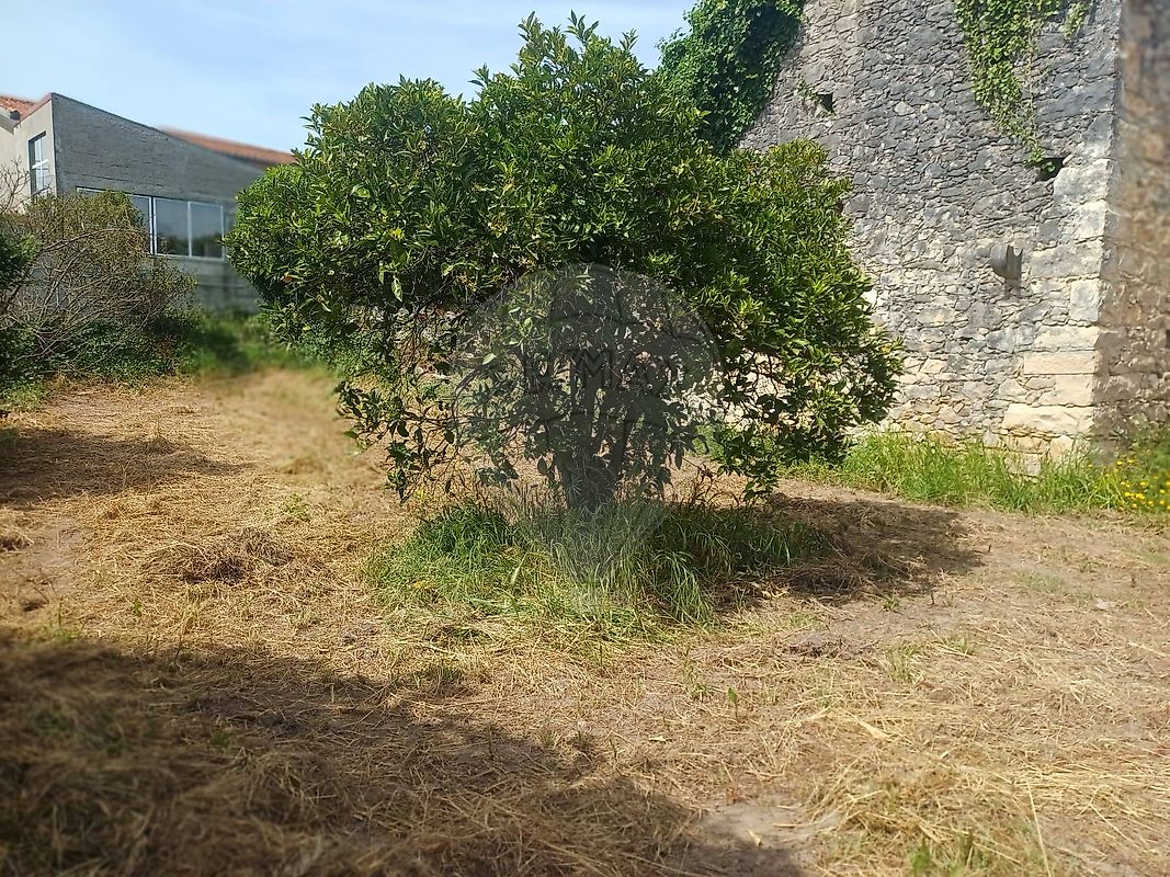 Moradia T2 à venda em São Martinho de Árvore e Lamarosa, Coimbra — foto 12