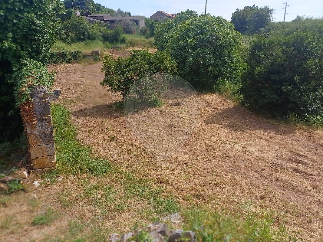 Moradia T2 à venda em São Martinho de Árvore e Lamarosa, Coimbra — foto 8