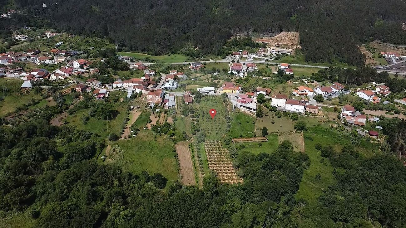 Terreno - Semide e Rio Vide, Miranda do Corvo, Coimbra