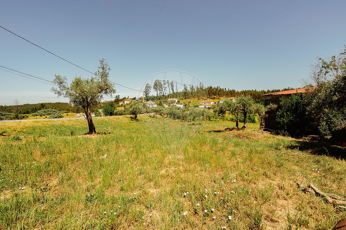 Moradia T3 à venda em São Pedro de Alva e São Paio de Mondego, Penacova — foto 24