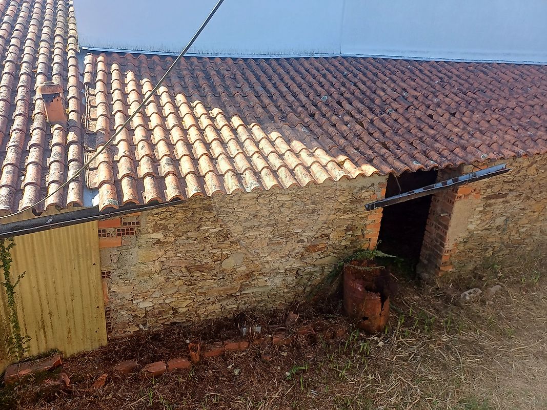 Moradia T3 à venda em São Pedro de Alva e São Paio de Mondego, Penacova — foto 18