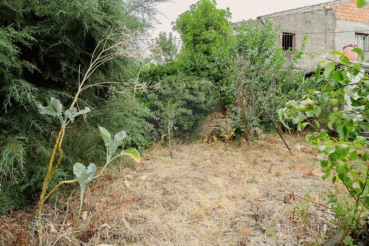 Moradia T2 à venda em São Martinho da Cortiça, Arganil — foto 25