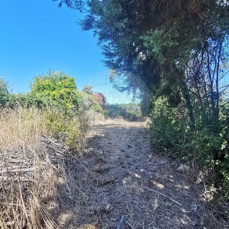 Moradia T2 à venda em São Martinho de Árvore e Lamarosa, Coimbra — foto 7