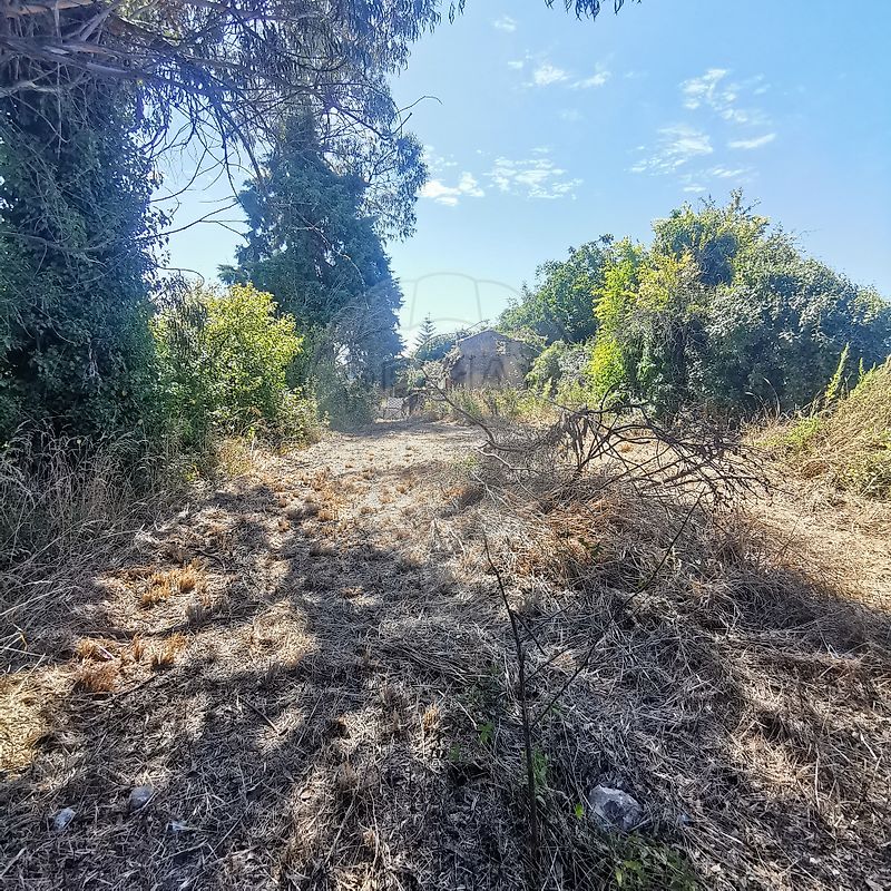 Moradia T2 à venda em São Martinho de Árvore e Lamarosa, Coimbra — foto 6