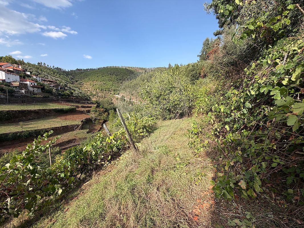 Moradia T1 à venda em Benfeita, Arganil — foto 14