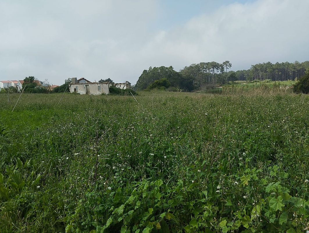 Moradia T2 à venda em Atouguia da Baleia, Peniche — foto 9