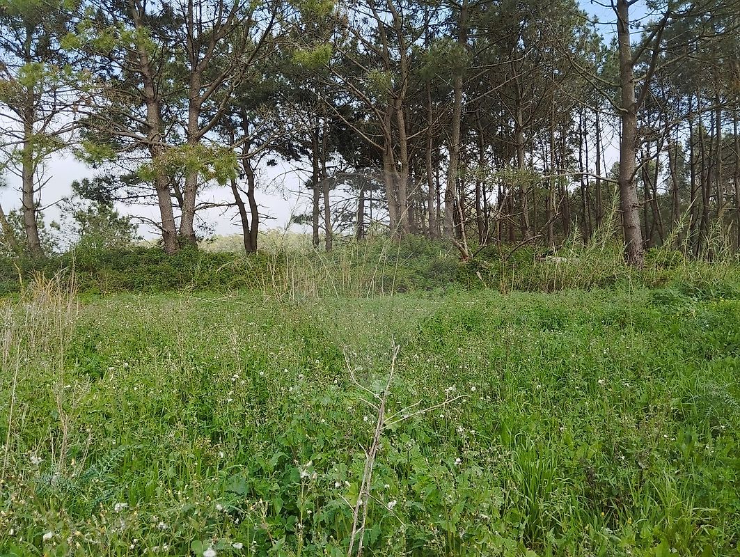 Moradia T2 à venda em Atouguia da Baleia, Peniche — foto 8